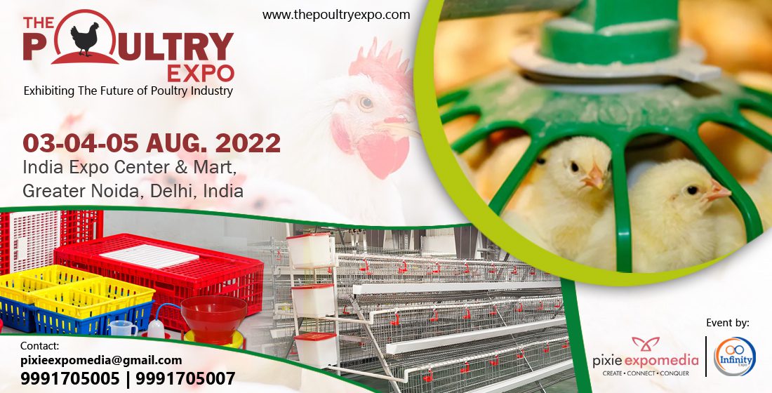 Poultry_Banner - 1100 x 560