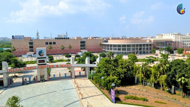 Top-Front View of IEML